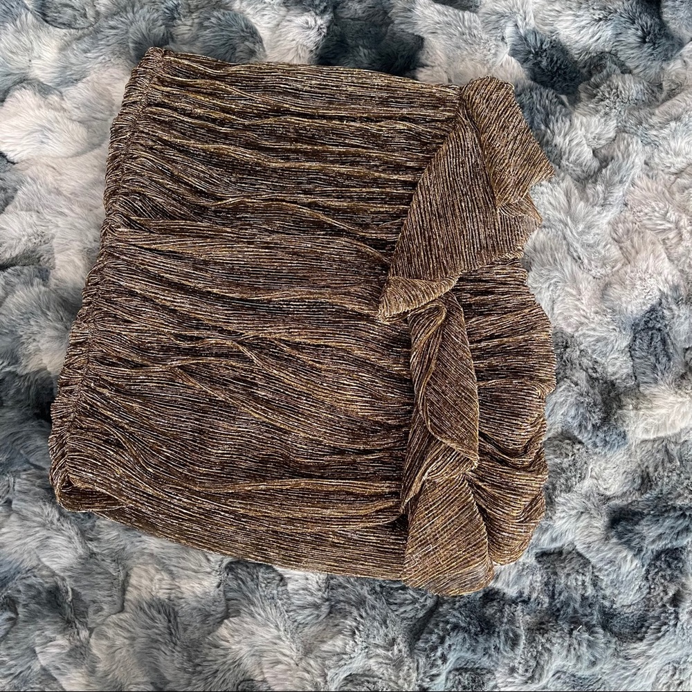 NEW NWT Zara Skirt
